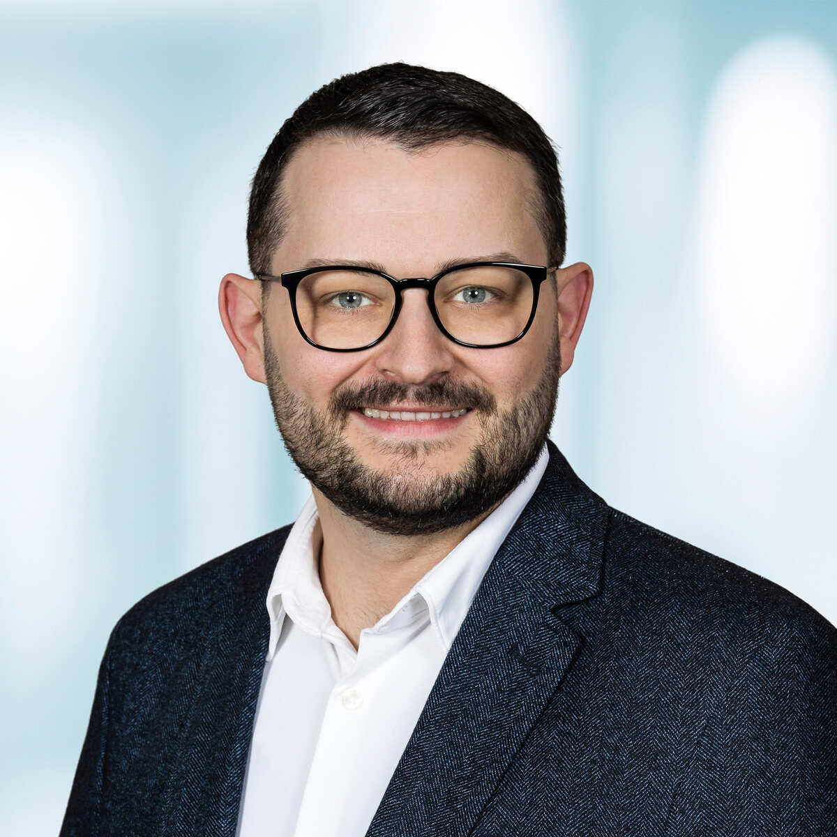 Zvonko Grujic, Hälg Group