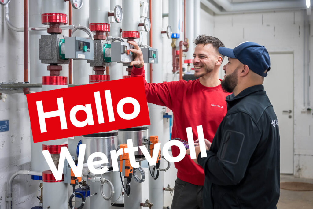Hallo Wertvoll