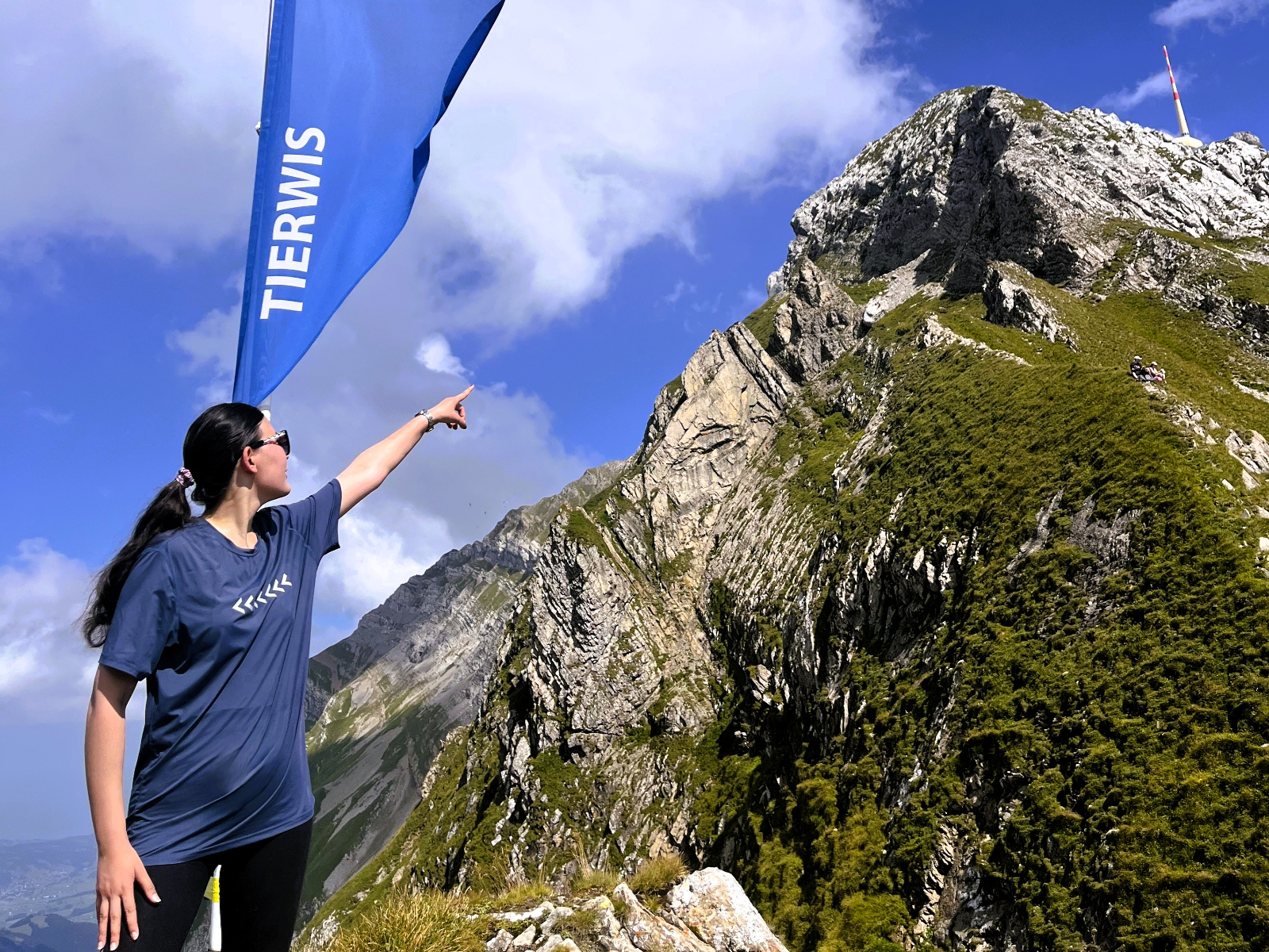 Ansia bei Tierwis mit Blick Richtung Säntis.