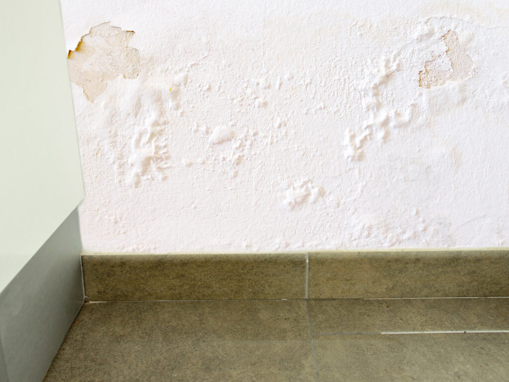 Wasserschadensanierung durch die Hälg & Co. AG Zürich