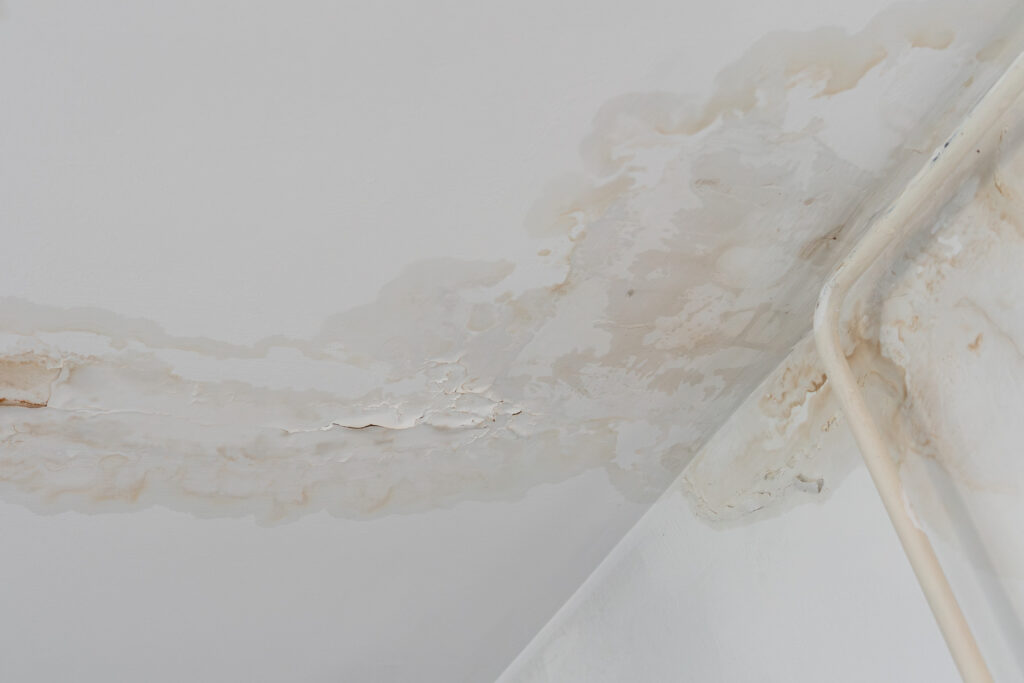 Wasserschadensanierung durch die Hälg & Co. AG Zürich